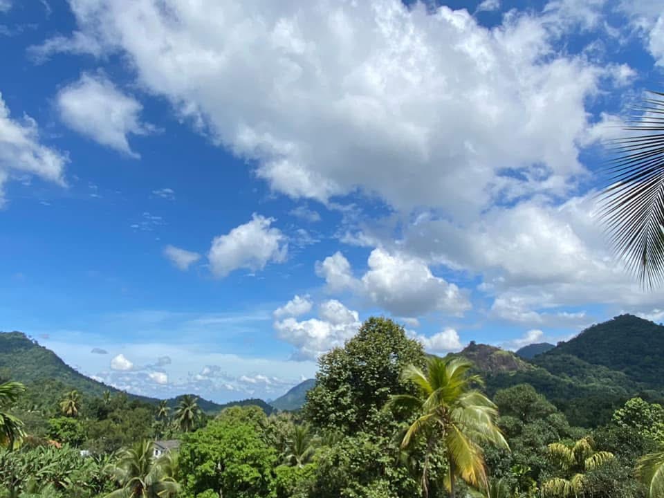 Mountain view