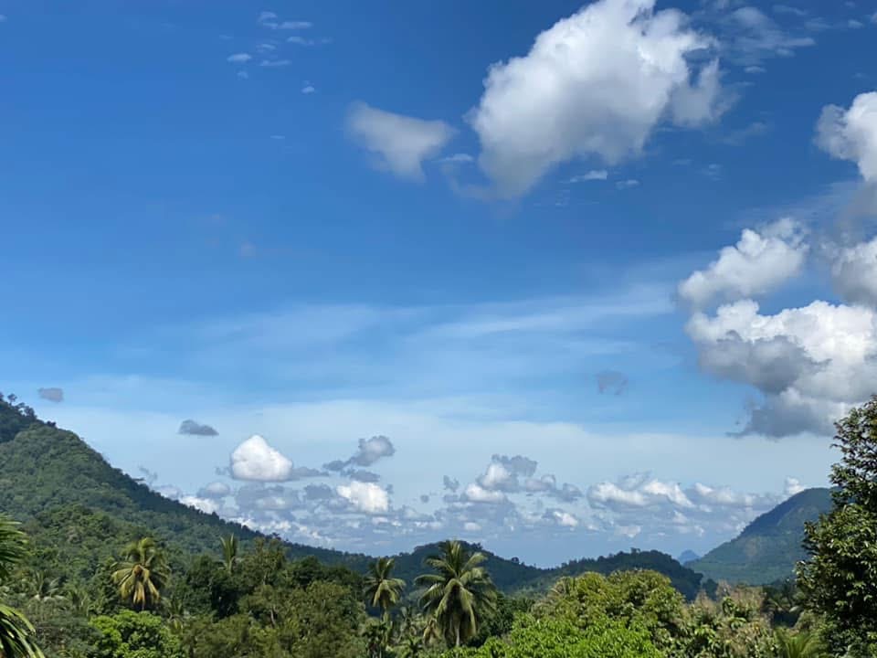Scenery near V Resorts The Village